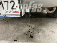 ��� �� Suzuki Grand Vitara - 