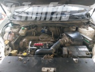 ��� �� Vortex Tingo - 