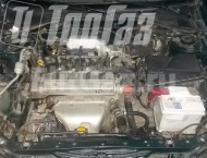 ГБО на Toyota Avensis - Подкапотная компановка